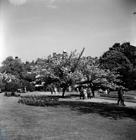 Entrance to Valley Gardens, Harrogate